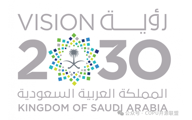 沙特2030远景和对中国IT机会分析