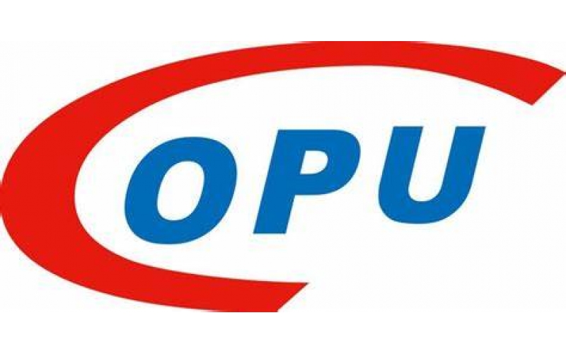 陆主席应邀在开放原子开发者大会上致辞